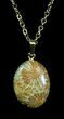 Million Year Old Fossil Coral Necklace #35773-1